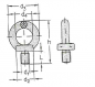 Preview: Ringschraube M12 C 15 E Nr.430302